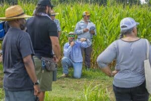 Group of people conducting agricultural research in a lush green field.