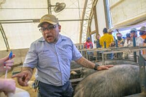 Cattle farm expert explaining livestock care at agricultural event.
