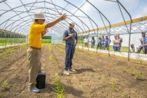 Greenhouse agriculture training session with instructor and students in a controlled environment.