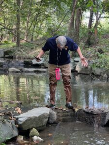 Man crossing a shallow stream on rocks in a wooded area during daytime.