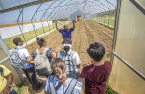 A group of students listens to an instructor inside a greenhouse. The instructor, wearing a blue shirt, gestures while holding a clipboard, explaining rows of small plants growing in the soil. The students, wearing backpacks, stand at the entrance, observing the setup. The greenhouse structure is made of clear panels, allowing sunlight to illuminate the interior. Outside, green grass is visible.