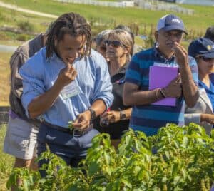 Plant scientists and researchers examining crops in an outdoor agricultural field.