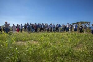 CAES News outdoor gathering with a large group of people on a grassy field under a clear blue sky.