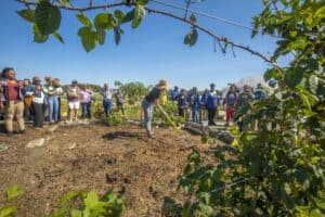 Planting community members working together in a garden, promoting sustainable agriculture and envir.