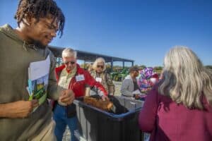 Farmers and attendees interact with materials involved in ginger farming during a field day event. One participant inspects soil in a large bin, while others hold event materials and observe. Tractors and agricultural equipment are visible in the background under a clear blue sky.