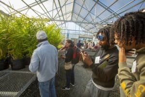Farmers Darius McKoy and Avery Lucas examine a smartphone together while standing in a greenhouse during a field day event. Nearby, another participant observes tall ginger plants growing in pots on a metal bench. Other attendees and greenhouse equipment are visible in the background.