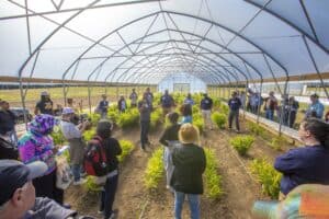 Ph.D. student leads a group of attendees inside a high tunnel filled with rows of ginger plants. The participants listen attentively, some taking notes and others photographing the plants. The structure's translucent roof allows natural light to filter through.