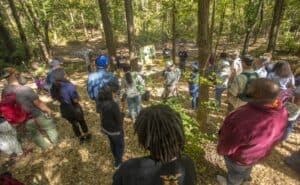 Graduate research assistant Julie Robinson speaks to a group of farmers about natural wooded area ginger farming during a field day event. The group stands in a wooded area surrounded by trees and natural vegetation, listening attentively. A poster board with visuals and farming tools is displayed at the front.