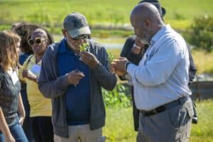 A group of people outdoors, focusing on two men examining and smelling plant samples. One man, wearing a gray hat and sunglasses, holds a small plant close to his nose, while the other, dressed in a light blue shirt, inspects a similar sample. Other participants in the background appear engaged in conversation or observing the activity, with a green, sunny field in the background.