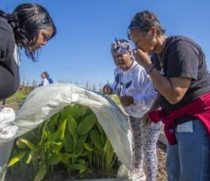 Three participants, Stephanie Tisdale, Jamma Williams, and Linda Brown, closely examine a low tunnel covered in a white fabric, revealing green leafy plants inside. One participant smells a leaf while another holds a plant sample, with a sunny blue sky in the background.
