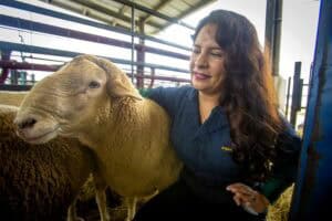 Sheep and woman at a farm or livestock exhibition, close-up of a woman with long dark hair smiling w.