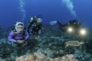 Three scuba divers wearing wetsuits and gear observe a sea turtle swimming near a coral reef underwater. Two divers look at the camera, while the third holds lights, illuminating the scene.