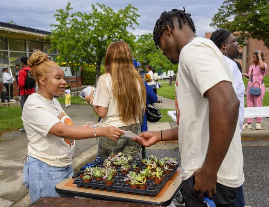 A woman hands a small plant to a man at an outdoor table filled with potted succulents during a community event. People and trees are visible in the background.