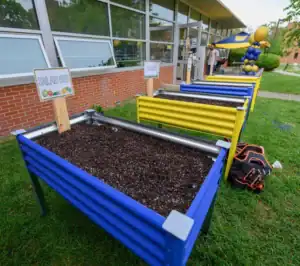 Three raised garden beds with soil, painted blue and yellow, sit on grass outside a building. A sign labeled SALAD BED is on one. Balloons and people are visible in the background. A backpack is on the ground.