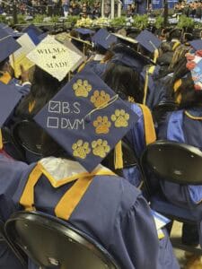Graduates in blue caps and gowns sit in rows. One cap is decorated with paw prints and checkboxes marked “B.S.” checked and “D.V.M.” unchecked, while another cap reads Wilma Made.