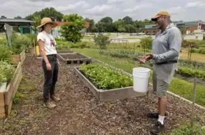 Two people stand and talk in a community garden next to raised beds filled with leafy green plants, with various gardening tools and buildings visible in the background on a partly cloudy day.