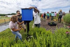 A group of people work together installing a blue box on a post in a community garden, surrounded by greenery and raised garden beds, under a partly cloudy sky.