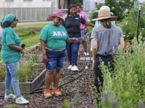 A group of women talks and works together in a community garden. Some wear green shirts, and one wears a pink cowboy hat. Raised beds with plants and flowers surround them.