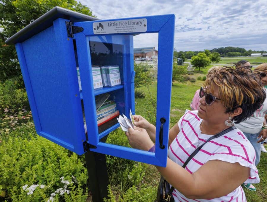A woman takes a packet from a blue outdoor Little Free Library box filled with seed packets, surrounded by greenery and flowers on a sunny day.