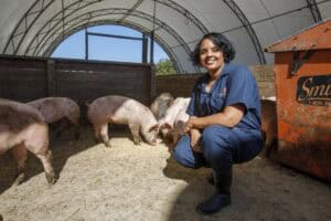 A woman in blue overalls and black boots crouches and smiles in a barn with several pigs. Sunlight shines through the arched, fabric-roofed structure. An orange container is visible on the right.