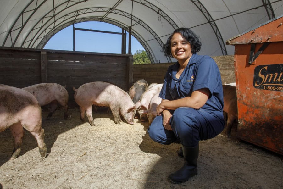 A woman in blue overalls and black boots crouches and smiles in a barn with several pigs. Sunlight shines through the arched, fabric-roofed structure. An orange container is visible on the right.
