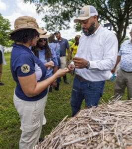 A group of people stand on grass outdoors, examining small objects in their hands. Two people in front, one wearing a hat and another in a white shirt, focus closely. Others watch in the background near a straw-covered mound.