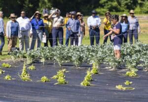 A group of people stands by a vegetable garden, listening to a woman speaking among leafy green plants under bright sunlight. Trees are visible in the background.