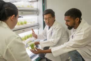 Three scientists in white lab coats examine containers of plants in a laboratory. One scientist gestures while the others observe the plants, which are stored on shelves under grow lights.