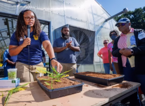 A woman speaks into a microphone while demonstrating plant growth in trays of soil to a group of people standing around a table outside a greenhouse on a sunny day.
