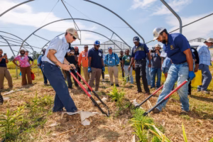 Two men use large clippers to work on plants inside a greenhouse, while a group of people stand around them watching and taking notes on a sunny day.