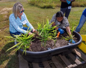 Two women wearing gloves are gardening together, tending to green plants in a large black container filled with soil, placed on wooden pallets outdoors on a grassy area.