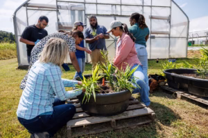 A diverse group of people work together outside a greenhouse, tending to plants in large containers on wooden pallets. Some are kneeling and others standing, focused on gardening tasks under a sunny sky.