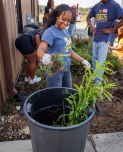 A smiling woman wearing gloves pulls weeds and places them into a large trash bin during an outdoor gardening activity with others, all wearing matching college T-shirts.