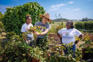 Three people stand in a garden near raised beds, examining plants. One person in a straw hat points to leaves while the other two listen attentively. Sunny weather, green vines, and open fields are visible in the background.