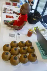 A lifelike doll in a red shirt sits on a table among brochures, a drink, and a plate of food. Below the doll, several brown objects resembling breasts are arranged neatly.