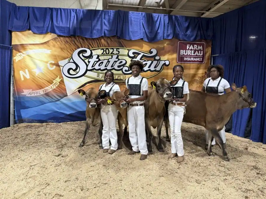 Four young people in white outfits hold trophies while standing with two brown cows in front of a colorful backdrop featuring the 2025 State Fair logo. The setting is a fairground area with sandy ground.
