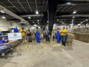 A group of six people stands in a barn with cattle, in front of a sign for North Carolina Agricultural and Technical State University. They are dressed in work clothes and smiling, with bales of hay surrounding them.