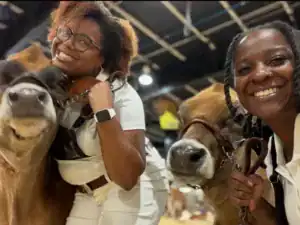 Two smiling women pose with cows, one woman cuddling a cow. They are indoors, and there are bright lights in the background. The atmosphere is cheerful and welcoming.