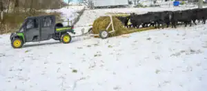 A utility vehicle pulls a hay bale through a snowy field, while a herd of black cows gathers nearby, ready to eat. A winter landscape with bare trees and farm buildings is visible in the background.
