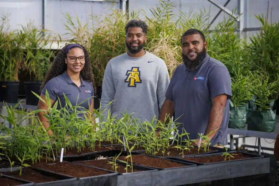 Three individuals stand in a greenhouse surrounded by potted plants. They are smiling and wear casual clothing, with two in branded shirts. The atmosphere is bright and focused on agricultural work.