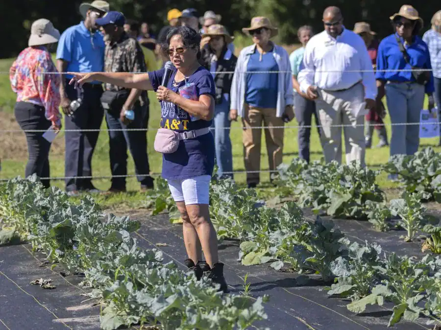 A woman gestures while speaking to a group in a field, with rows of leafy greens in front of her. The audience, mostly wearing hats, stands attentively in the background.