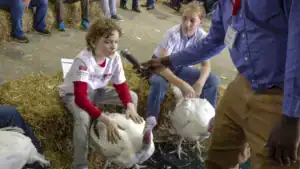 A young boy sits with a turkey on his lap, speaking into a microphone, while another child and a teenager listen nearby. They are surrounded by hay bales in a lively setting.