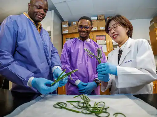 Three individuals in lab coats are examining green plants in a lab setting. They are smiling and interacting with the plants, showcasing a collaborative research environment.