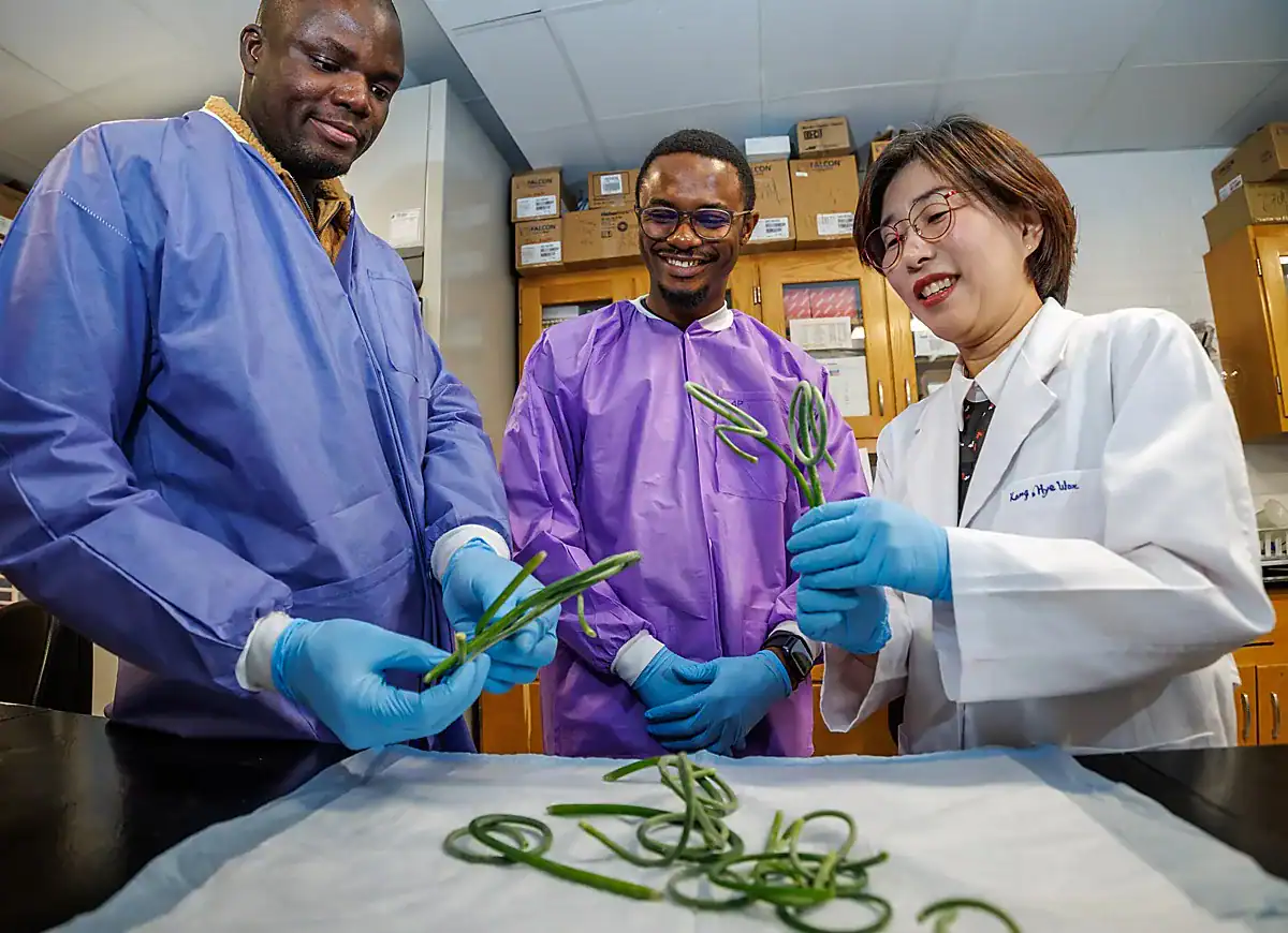 Three individuals in lab coats are examining green plants in a lab setting. They are smiling and interacting with the plants, showcasing a collaborative research environment.