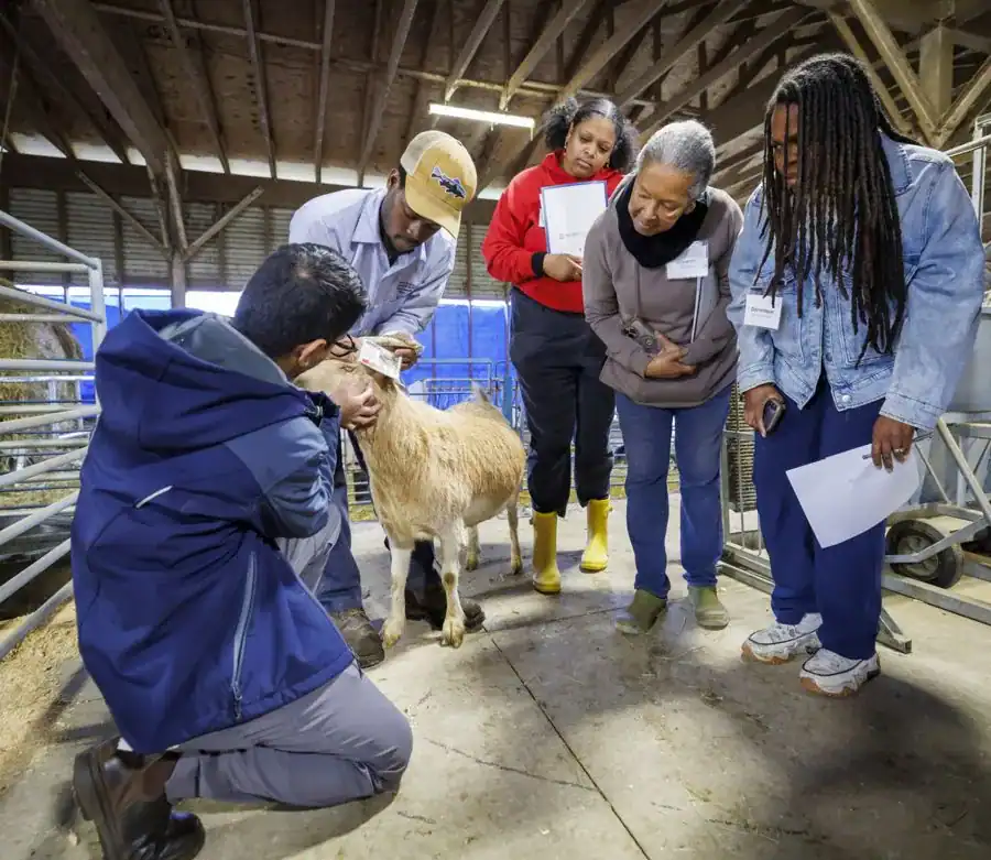 A group of people observes a man examining a goat in a barn. The individuals appear engaged and are holding papers while learning about animal care.