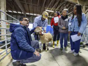 A group of five people in a barn observe a person kneeling beside a sheep, who is receiving care or attention. The environment appears rustic with hay and farm equipment in the background.