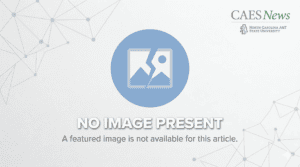 No image available for this article.