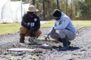 Two people kneel in a garden, discussing plants. One wears a black hoodie and hat, while the other sports a gray sweatshirt and beanie. They are surrounded by freshly tilled soil and garden beds.