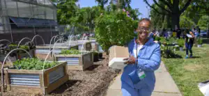 A woman smiles while holding a large potted plant and a box, walking through a community garden with raised beds. People are engaged in gardening activities in the background on a sunny day.