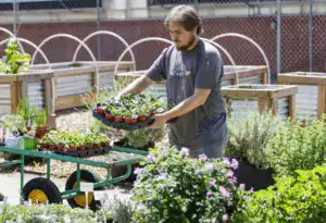 A person carries a tray of potted plants in a garden, surrounded by various plants in containers and raised beds, with bright sunlight illuminating the scene.